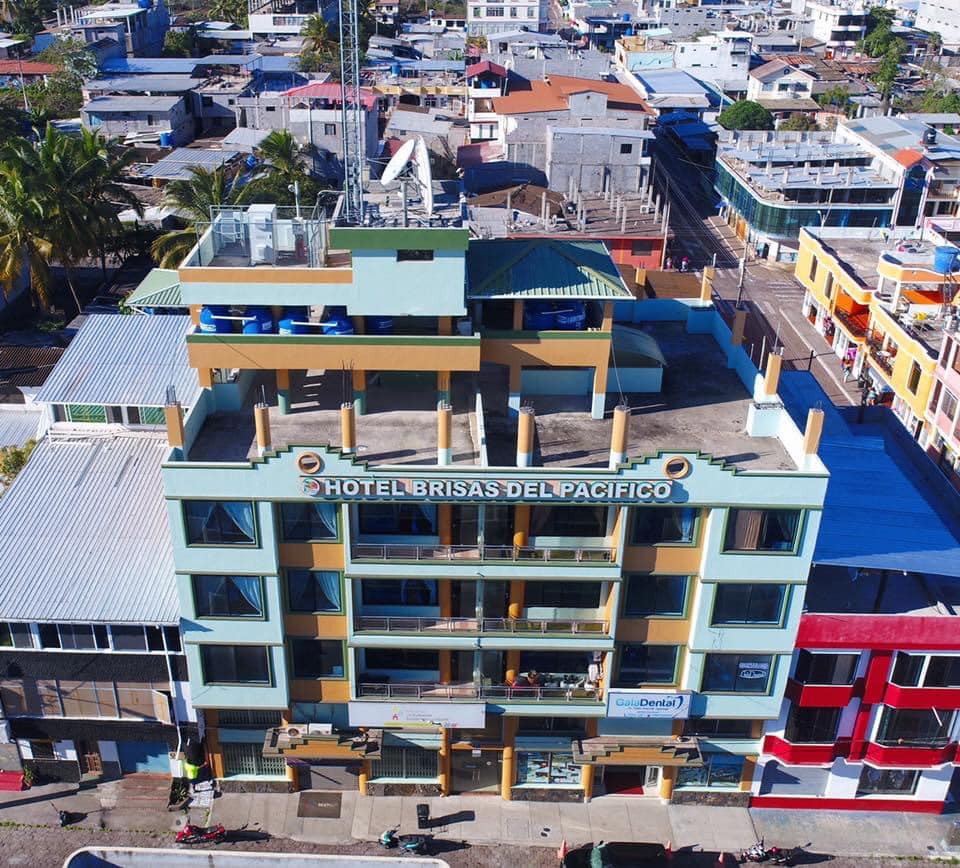 120825449_1488314681362582_8589125979773349574_n